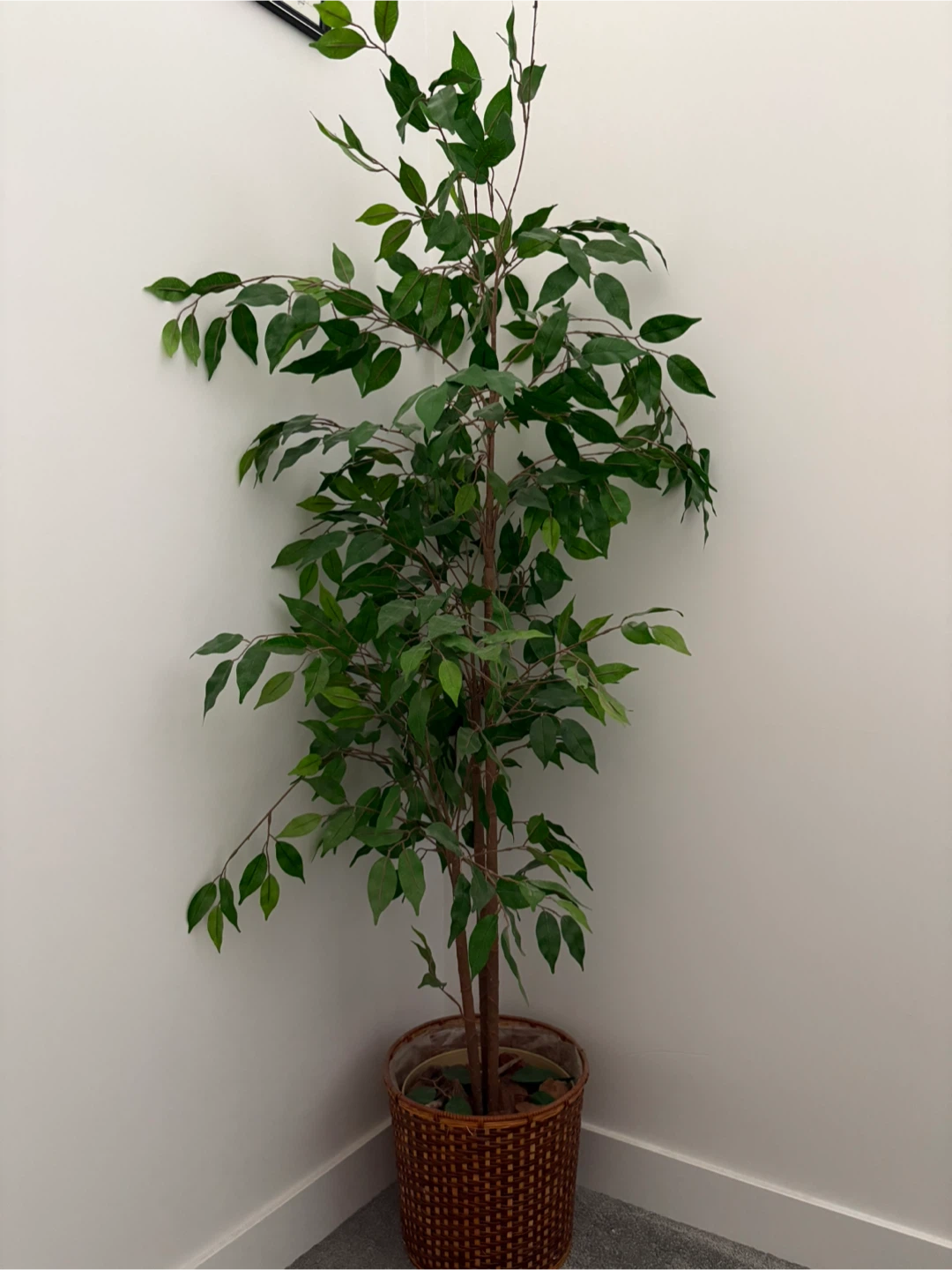 Indoor Potted fake Plant