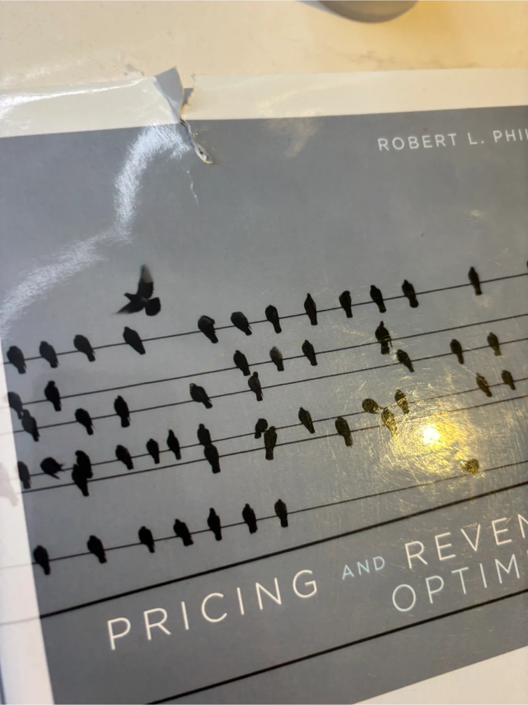 HARD COVER Pricing and Revenue Optimization - photo 3