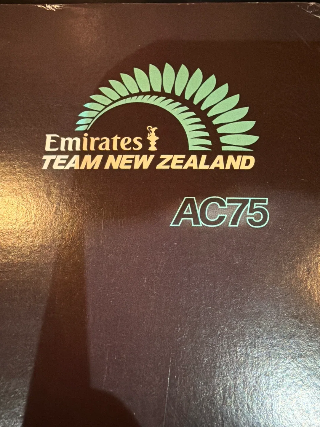 LEGO Technic Emirates Team New Zealand AC75 Yacht 42174 image indicator(6)