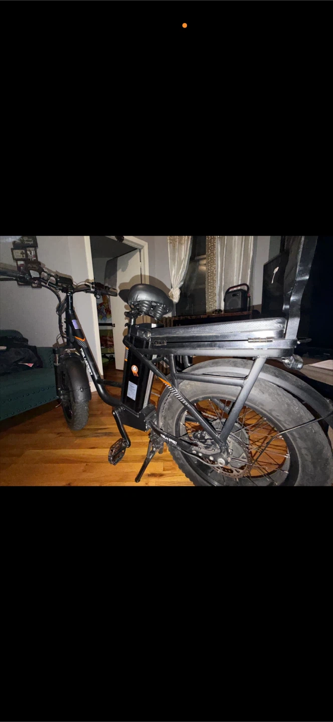 Rad Power Bike 350 $