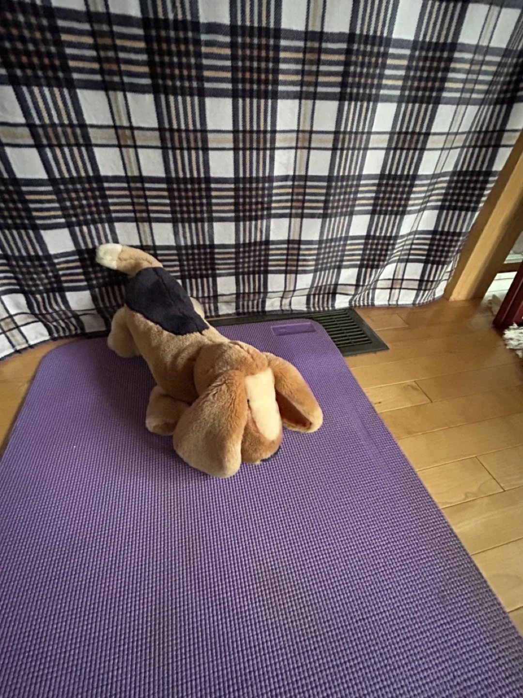 Cute Dog, German brand Sigikid image indicator(3)