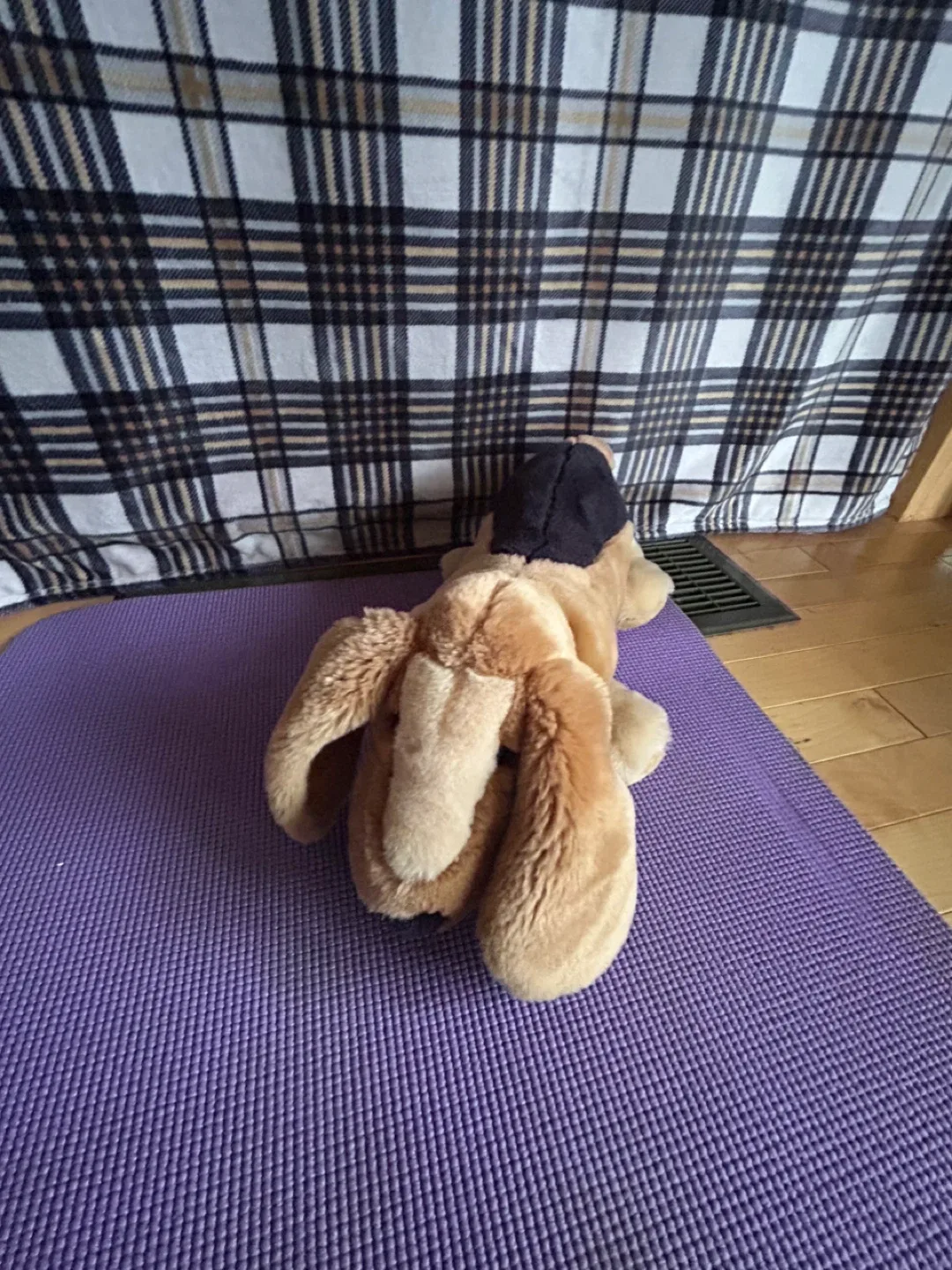 Cute Dog, German brand Sigikid image indicator(2)