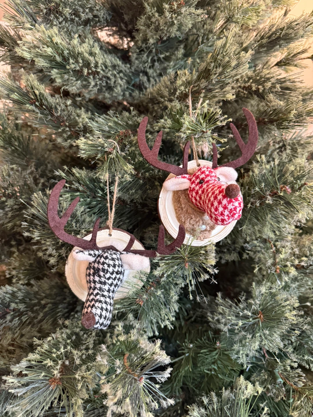 Cute mounted reindeer ornaments