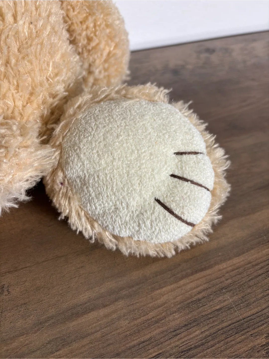 Kids Plush Teddy Bear - Snap Deal! image indicator(5)