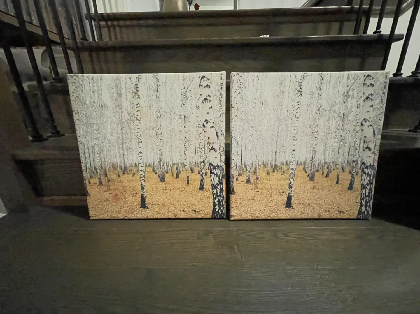 Set of 2 Forest Print Canvases