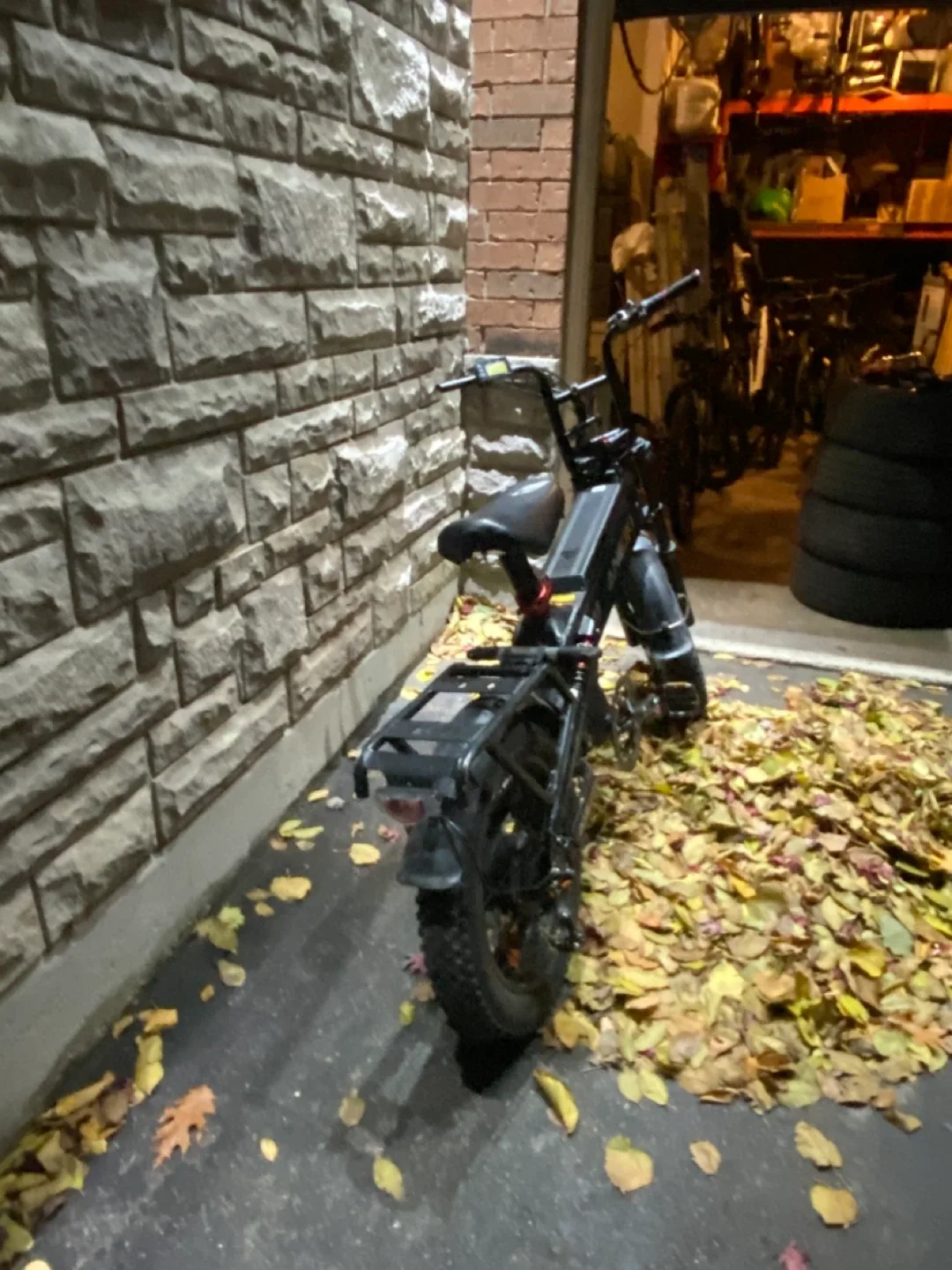 Anioki Electric Bike