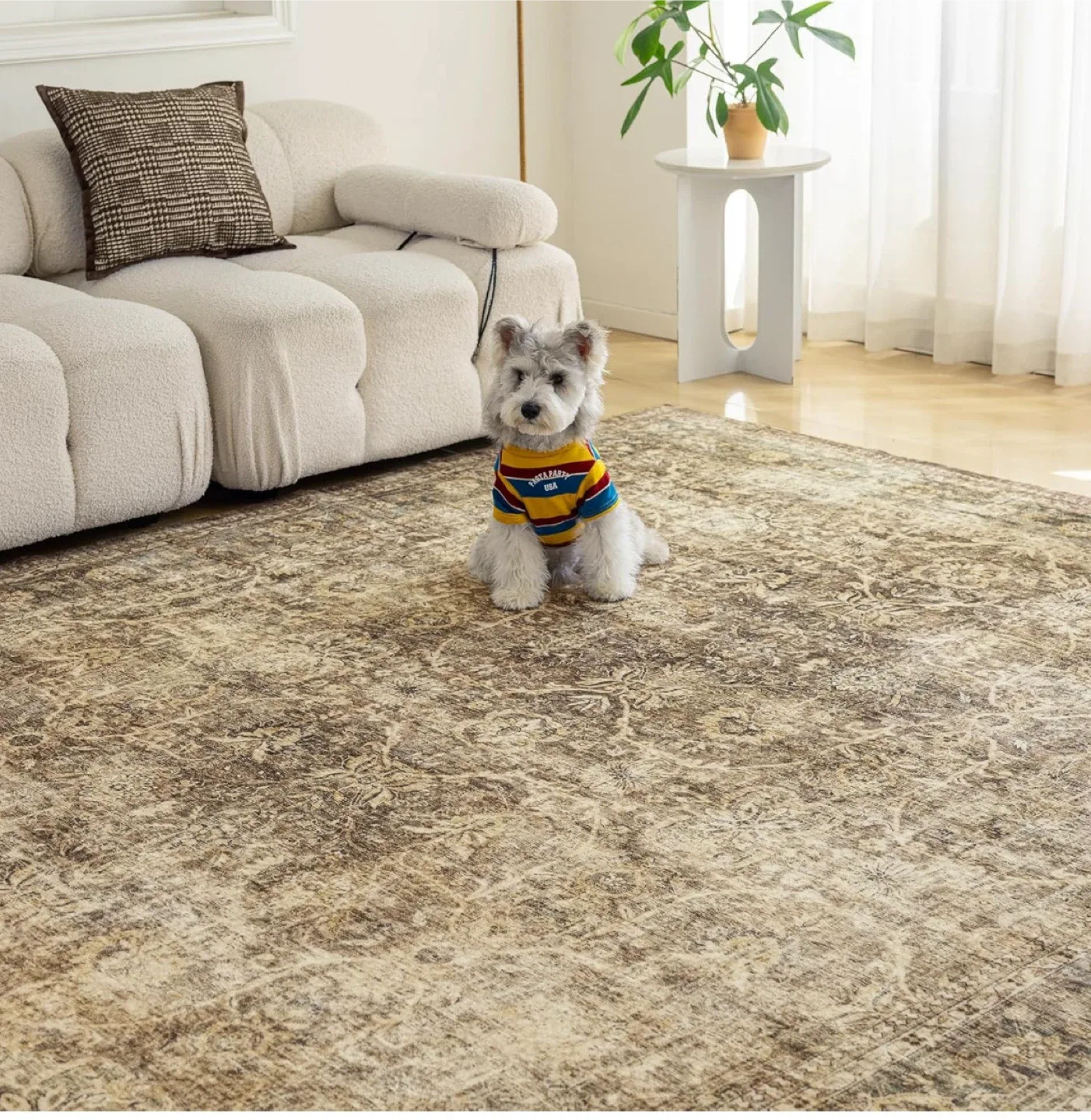 Vintage Style Area Rug - 9x6 ft image indicator(4)