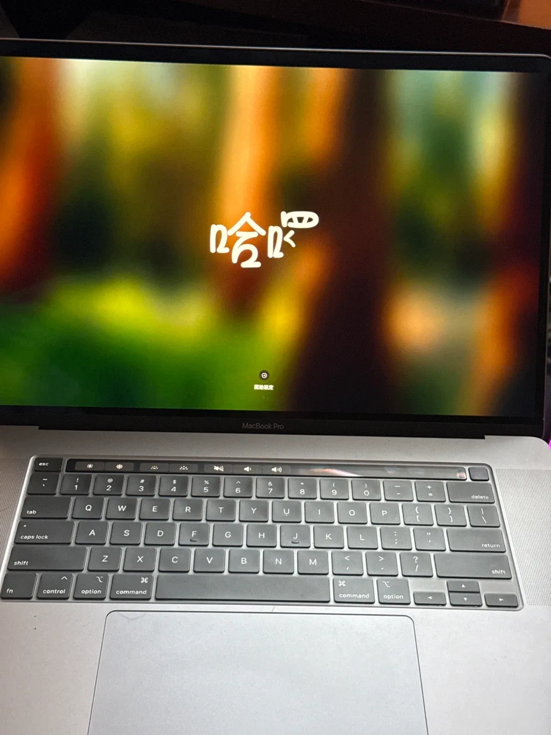 MacBook Pro 16-inch, 2019 image indicator(5)