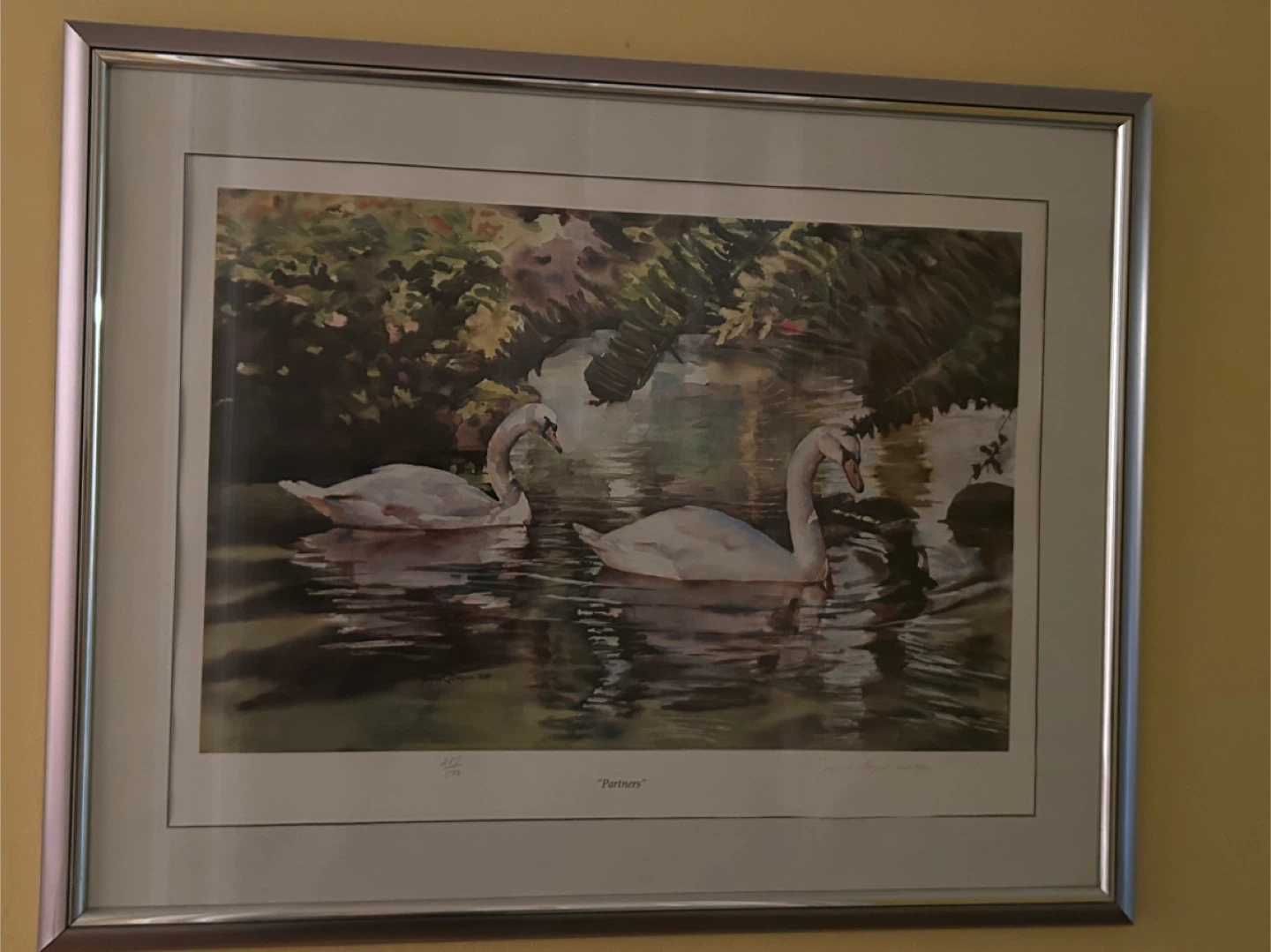 Framed Swan print