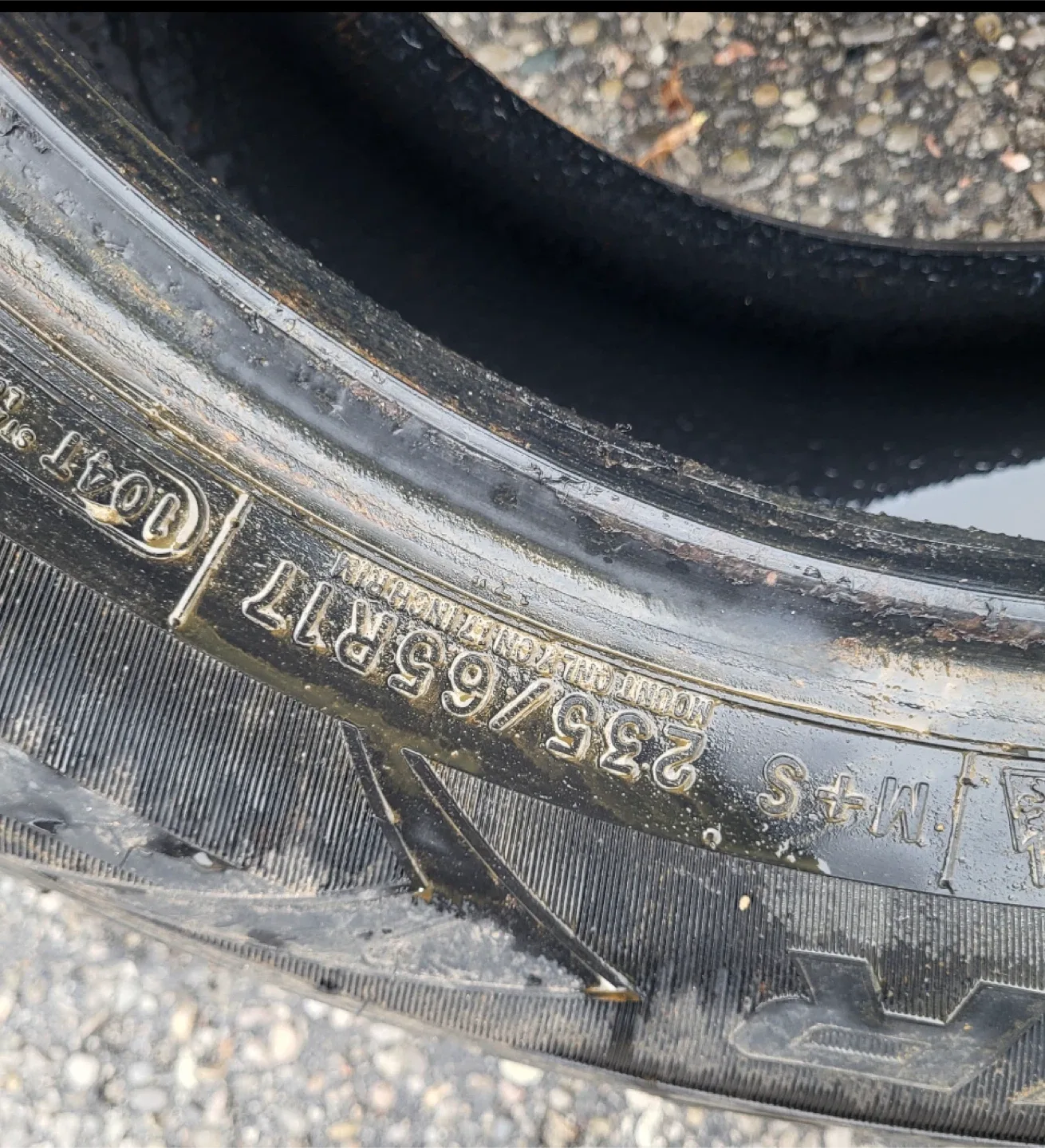 235 65 17 (2) Cooper Evolution Winter Tires 235/65R17 image indicator(2)