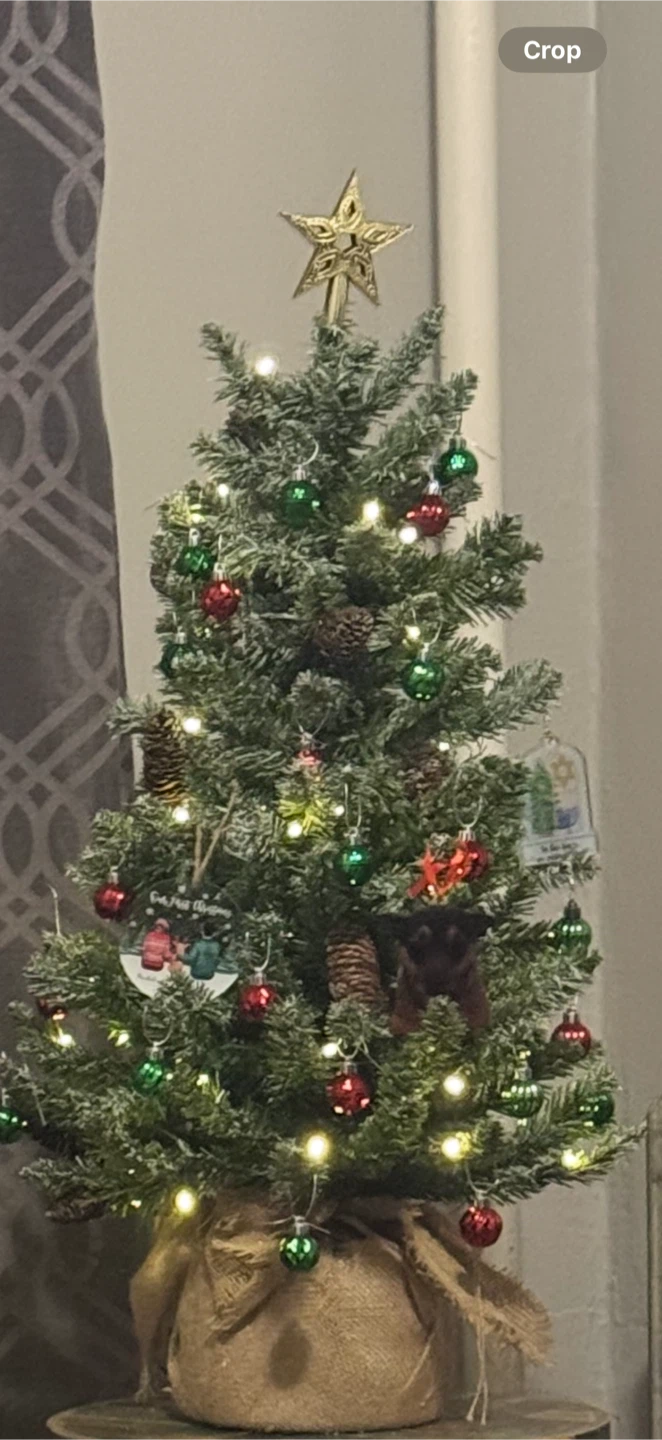 National Tree Company 3ft Flocked Christmas Tree - Like New!