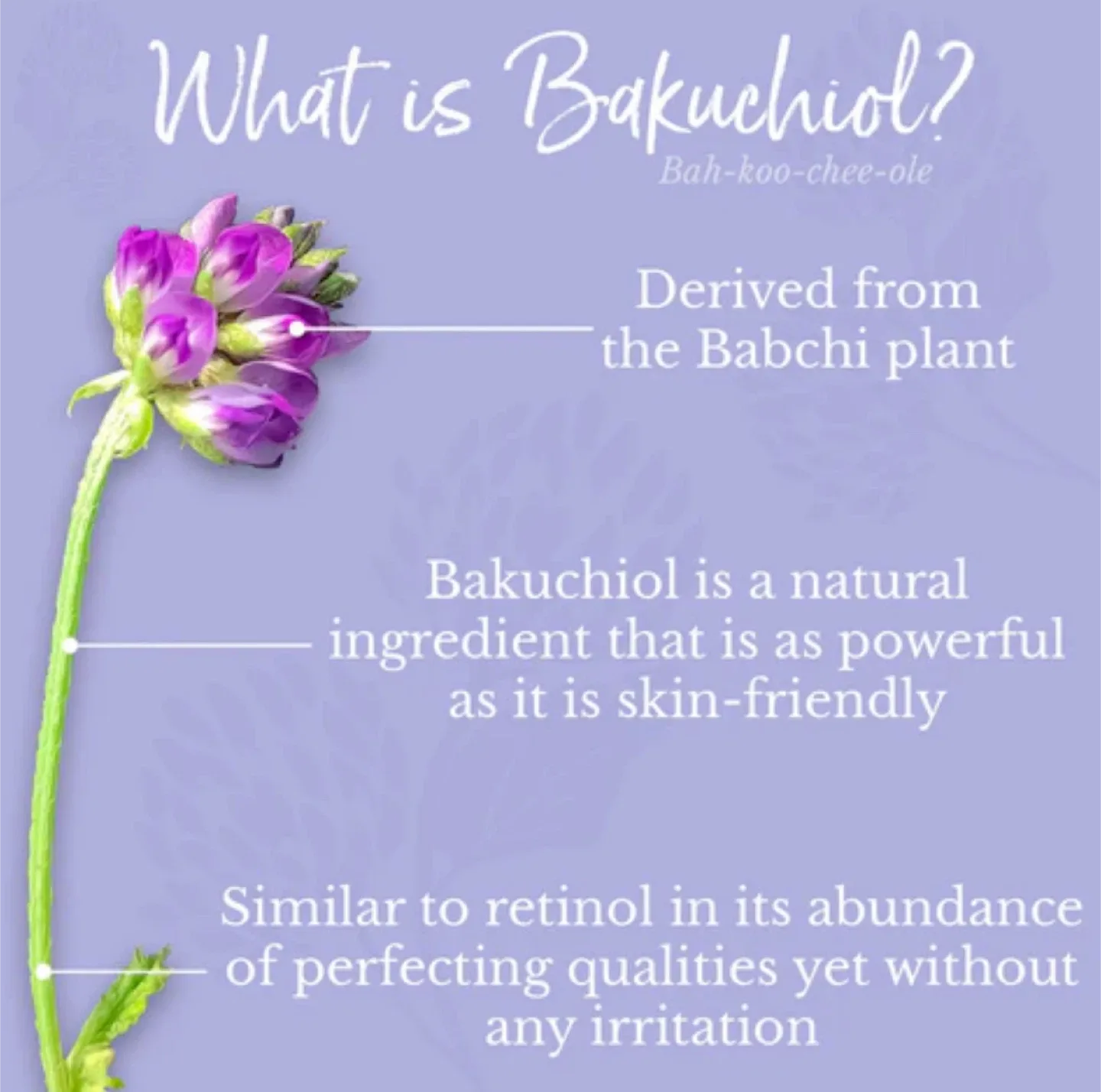 Brand NEW Versed Press Restart Gentle Retinol & Bakuchiol Serum image indicator(7)