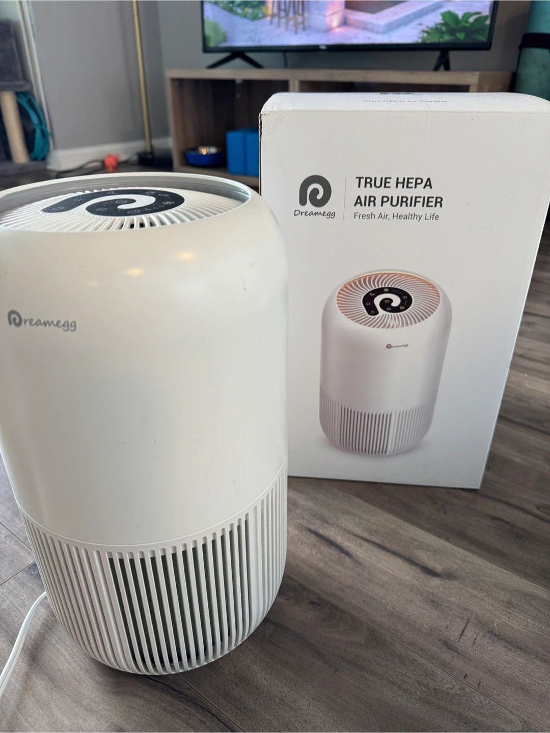 Dreamegg True HEPA Air Purifier