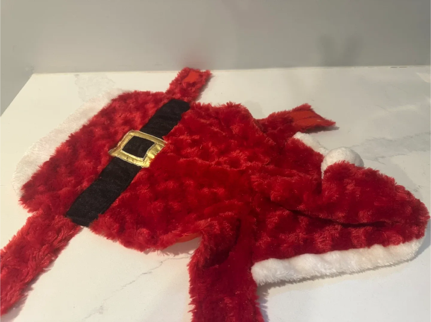 Santa Christmas Dog Costume