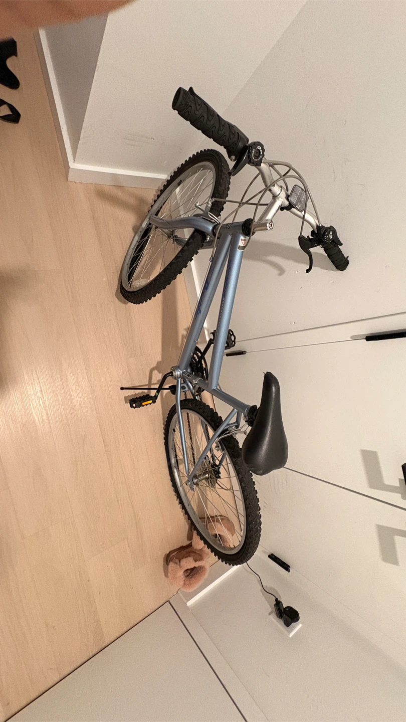 Pacific Mountain bike - photo 2