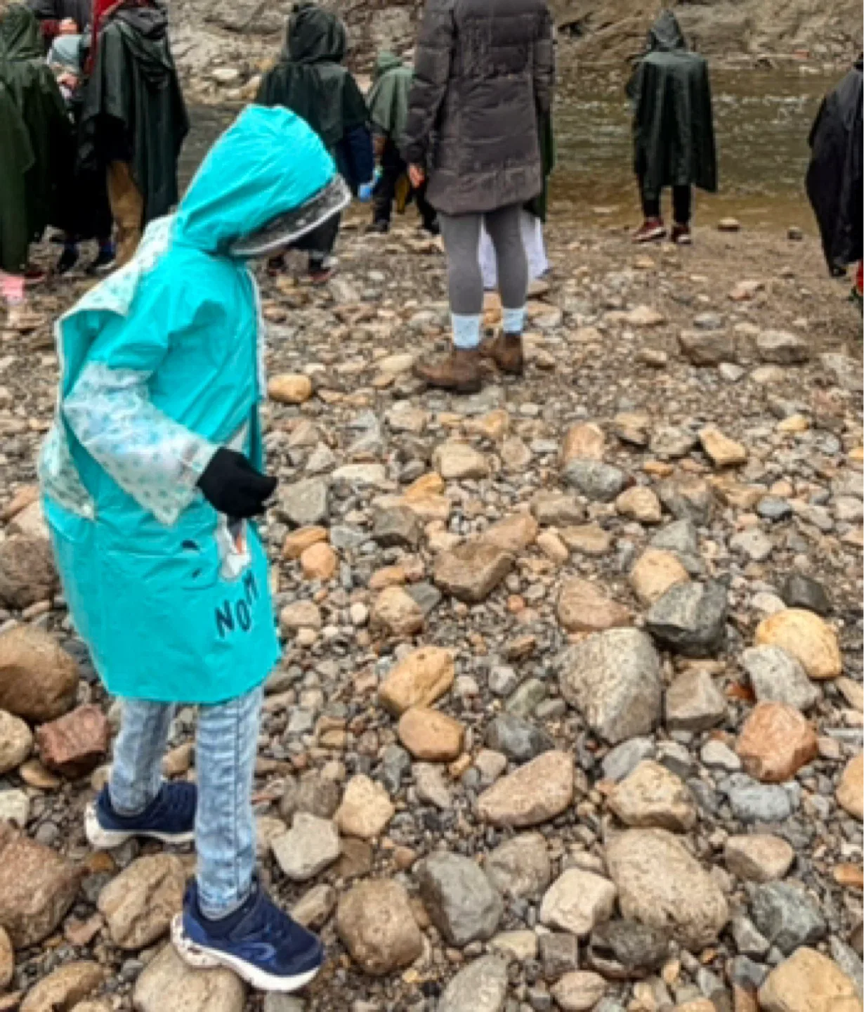 Baby Shark Raincoat - 6 years image indicator(3)