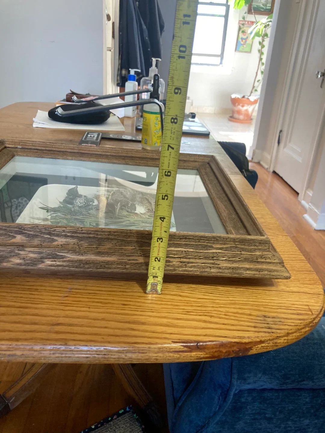 Framed Loon Print by Linda White image indicator(6)