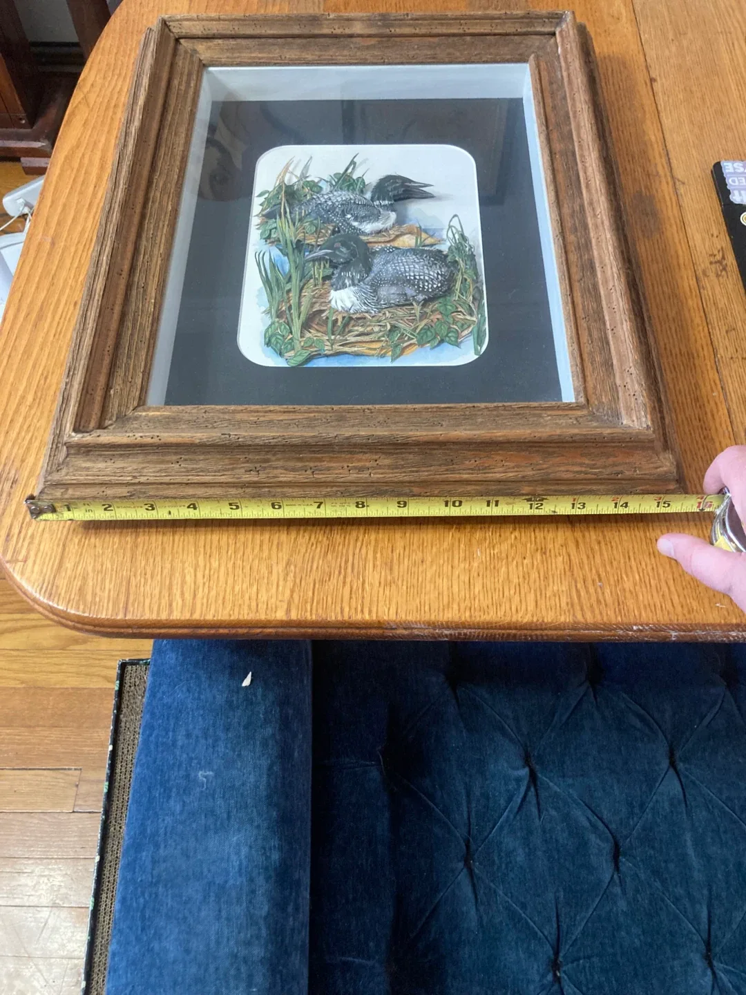 Framed Loon Print by Linda White image indicator(4)