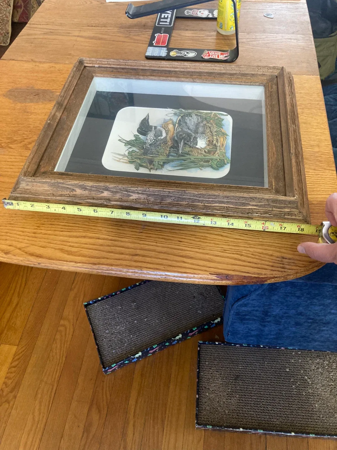 Framed Loon Print by Linda White image indicator(5)