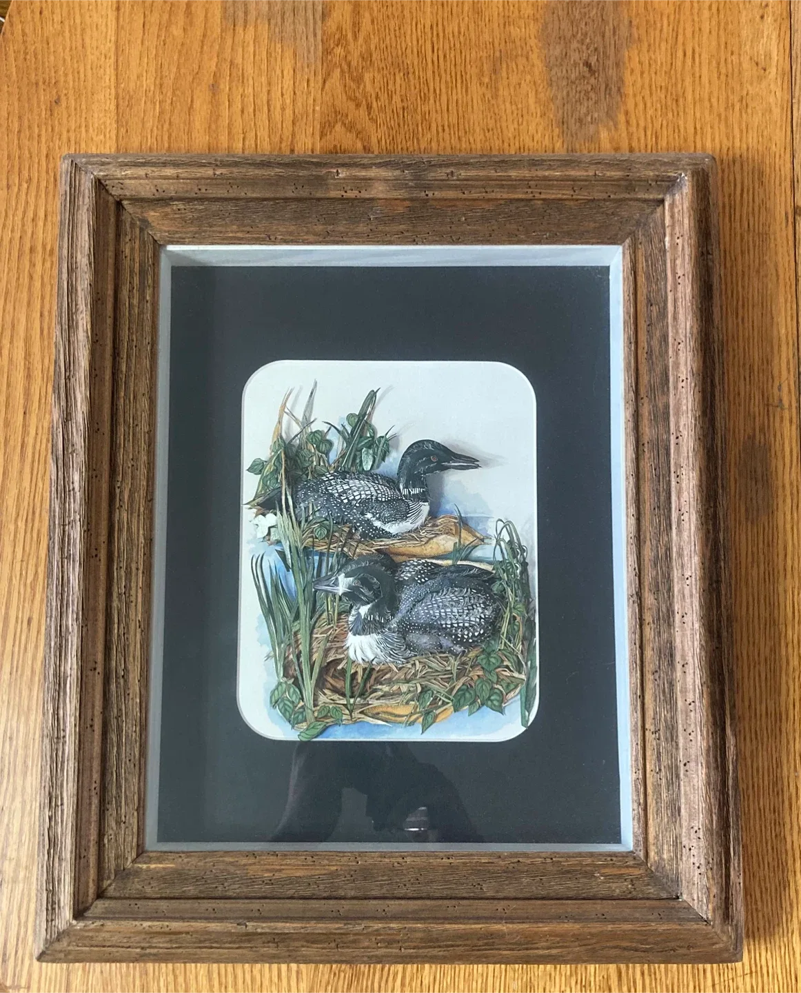 Framed Loon Print by Linda White image indicator(2)