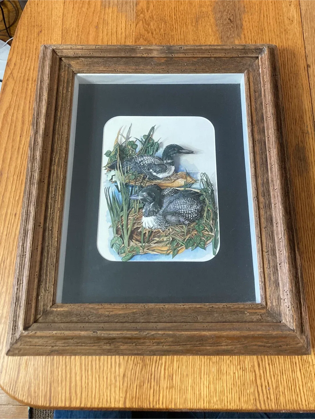 Framed Loon Print by Linda White image indicator(7)