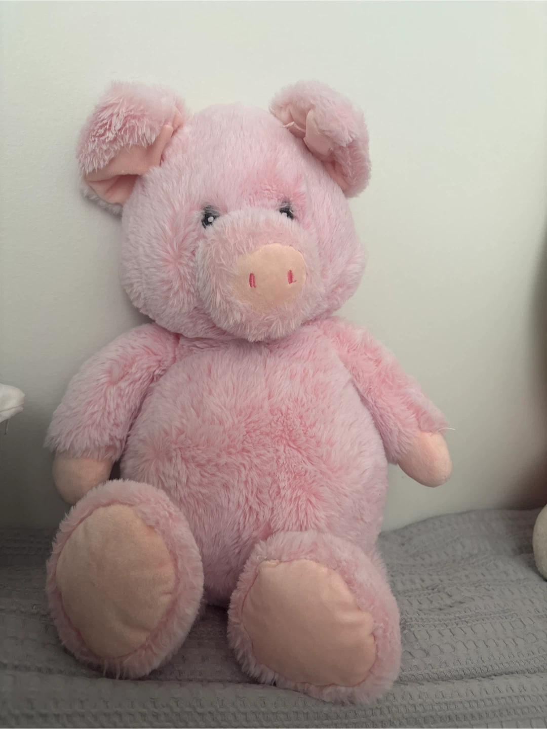 Pink Plush Pig Stuffed Animal