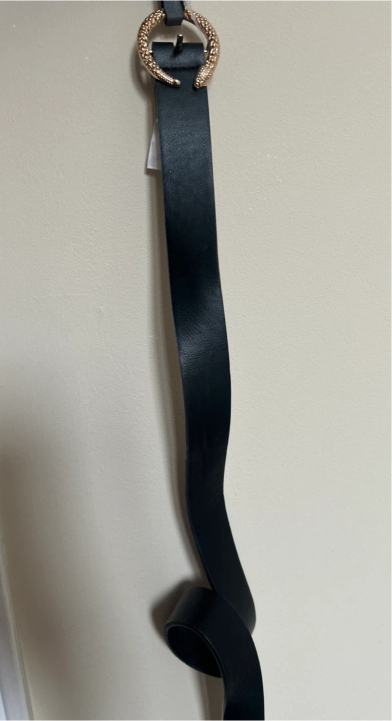 Black Belt with Gold Buckle
