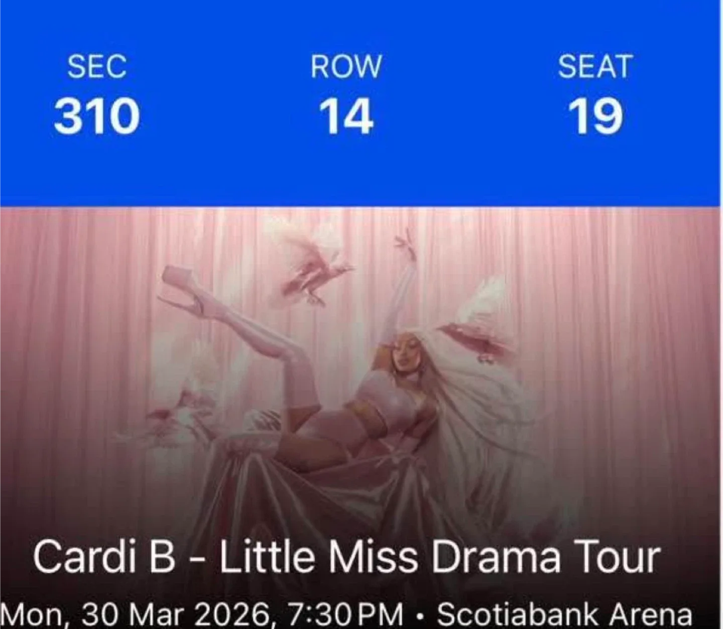 Cardi B - Little Miss Drama Tour Tickets image indicator(3)