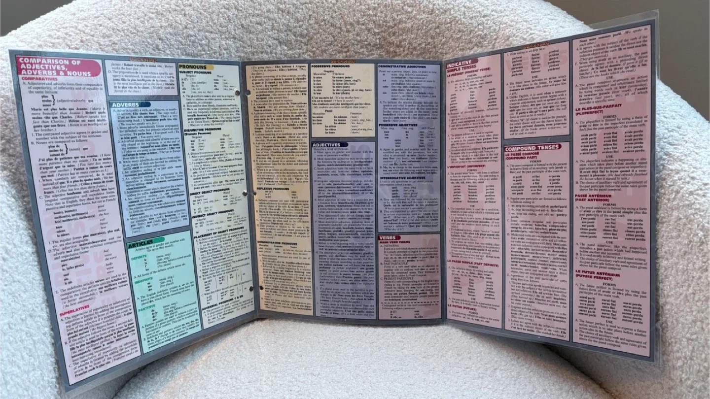 QuickStudy French Grammar Guide image indicator(2)