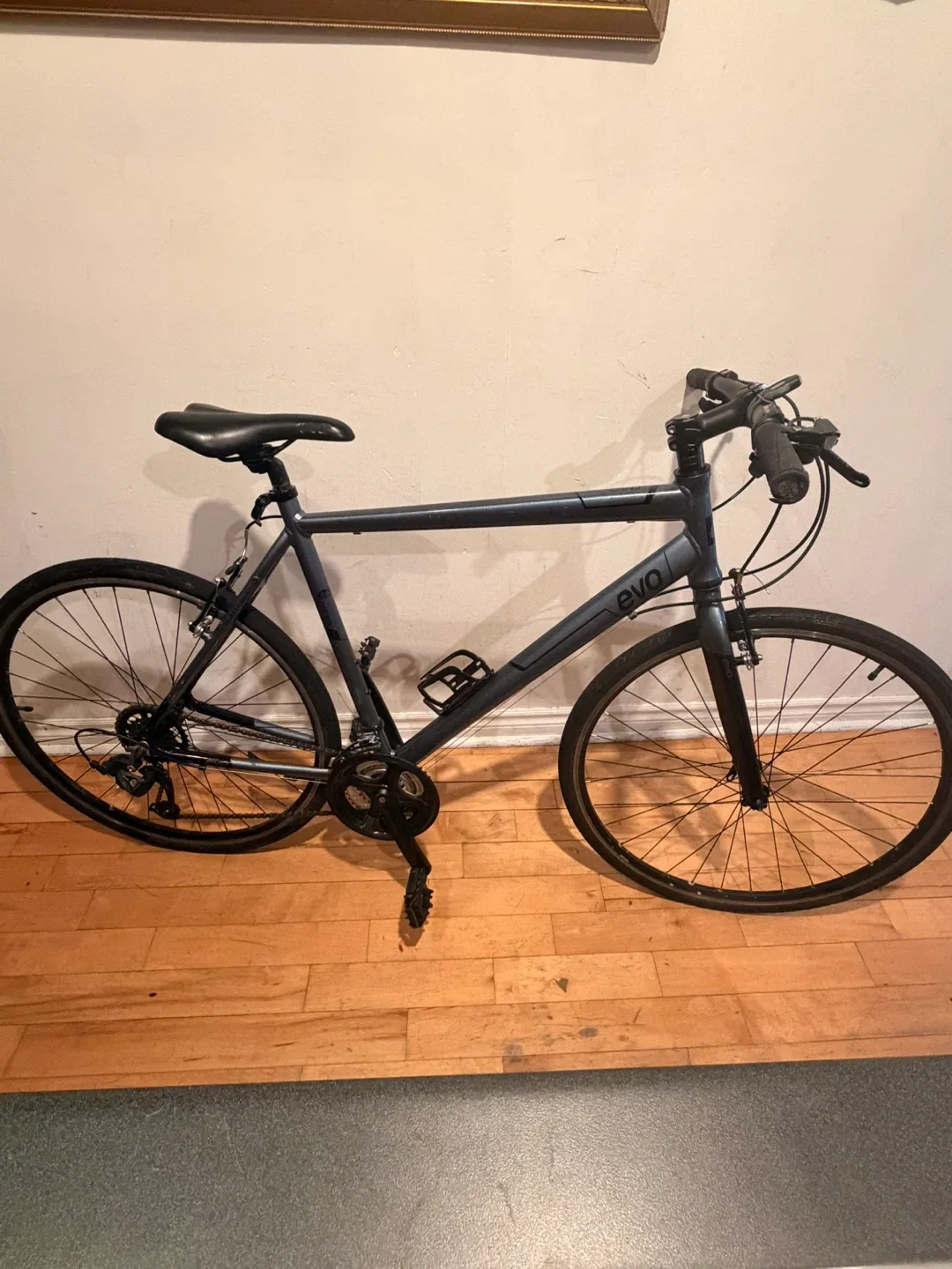 EVO Grand Rapid 3 Bike