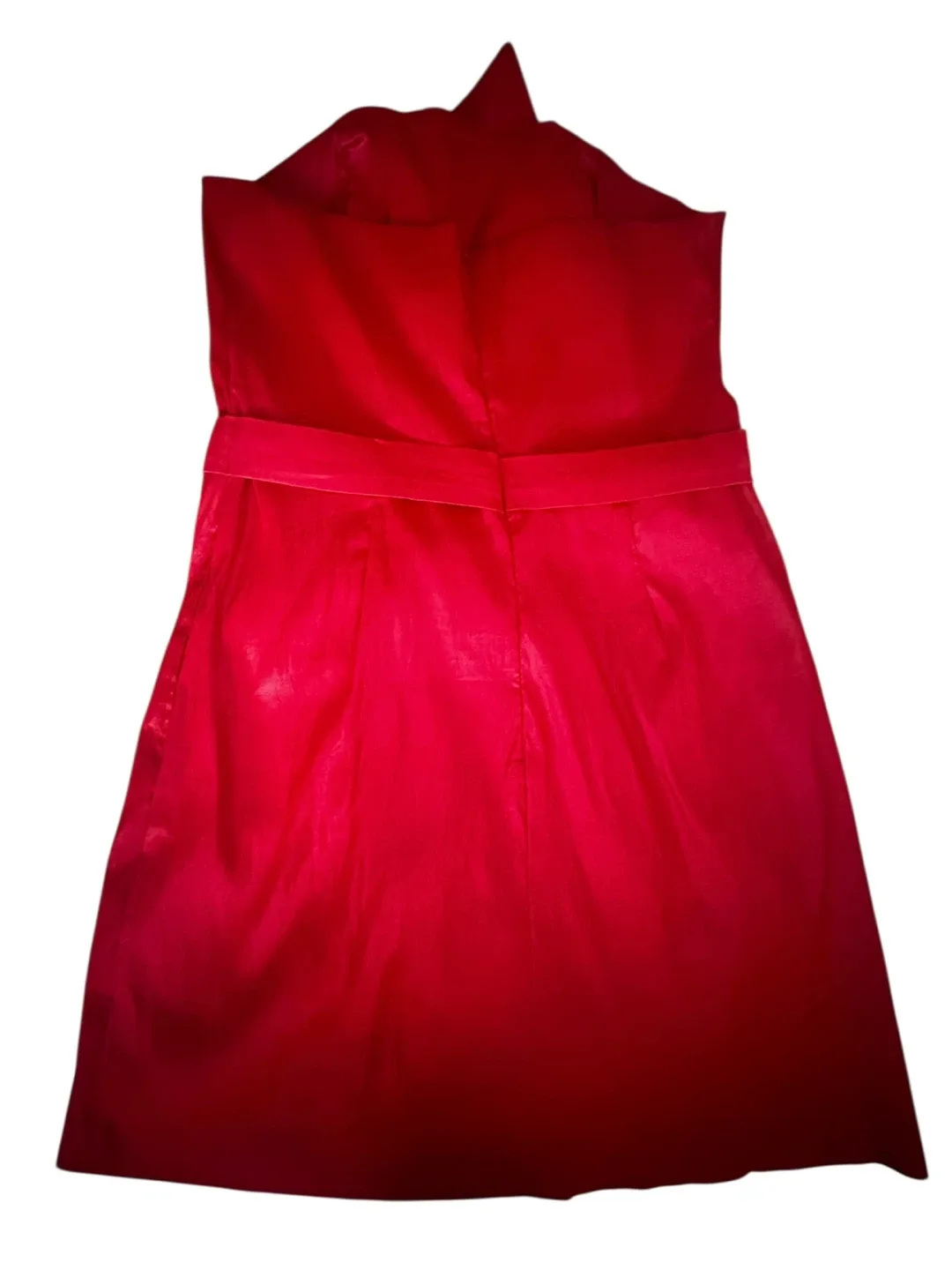 Beautiful Christmas Dress 🎄✨ Brand New! image indicator(3)