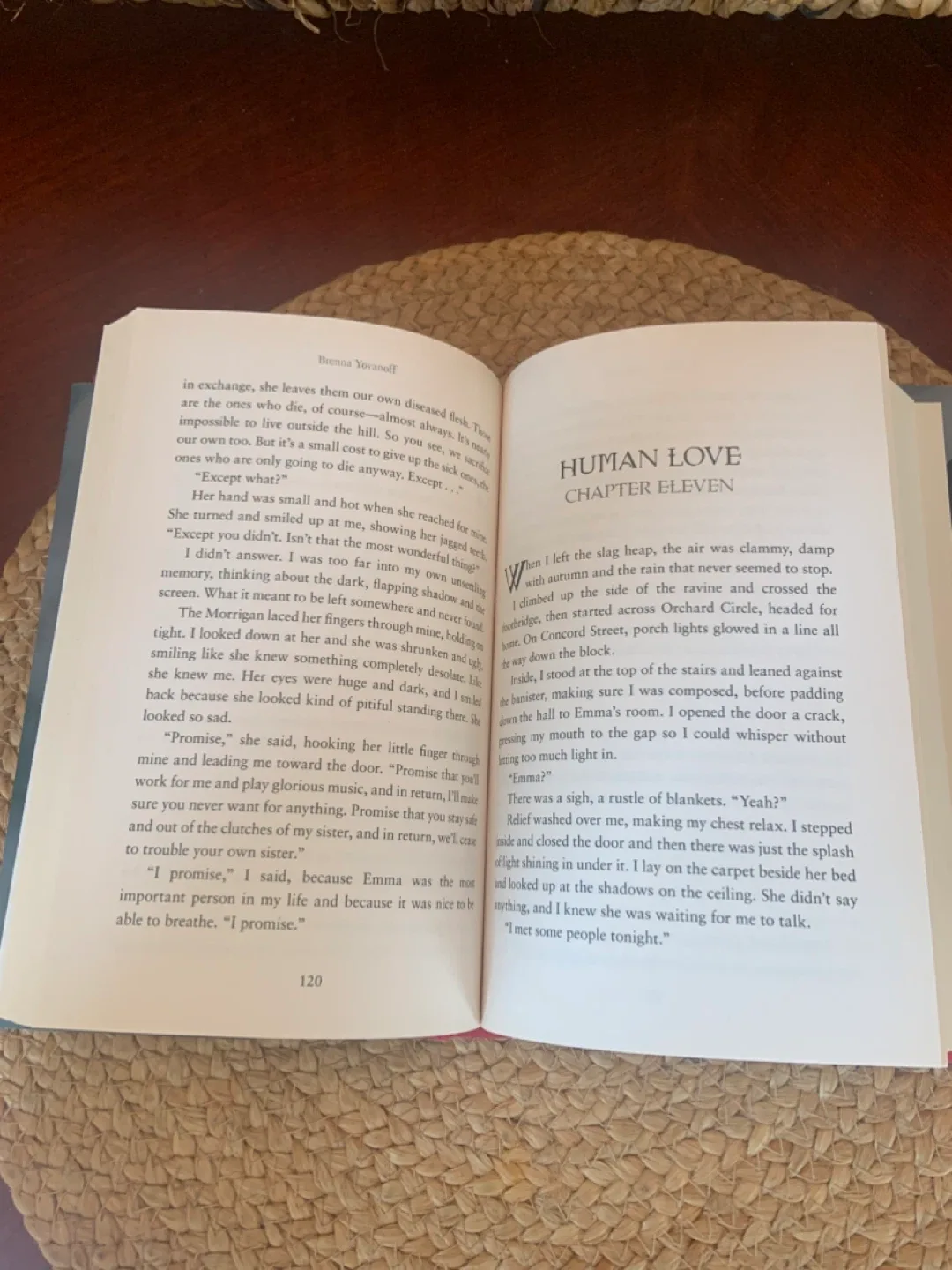 The Replacement by Brenna Yovanoff image indicator(7)