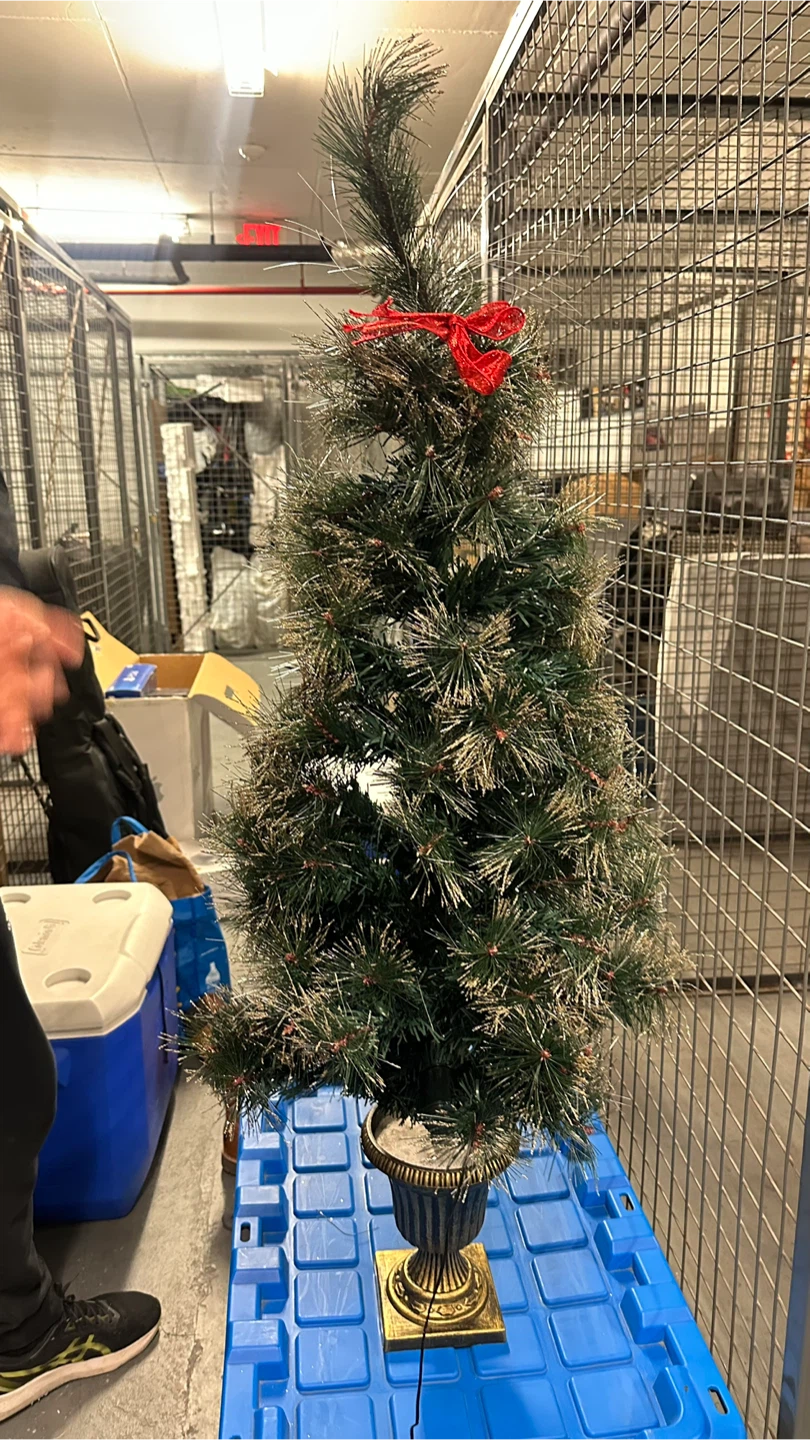 Christmas tree - photo 3