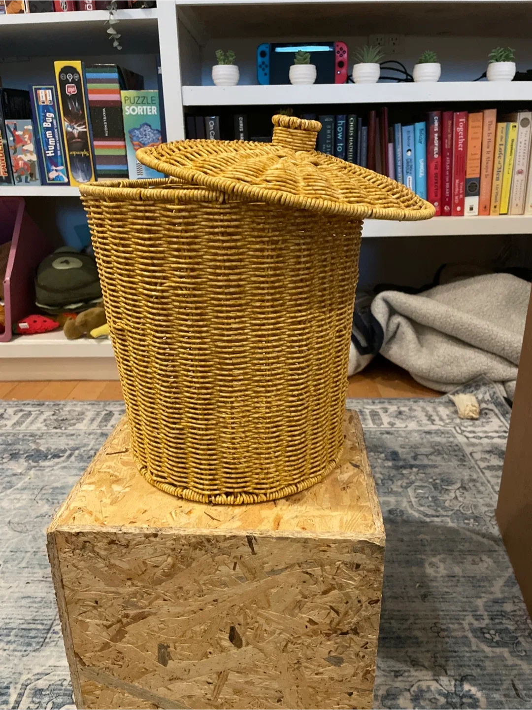 Wicker Basket with Lid