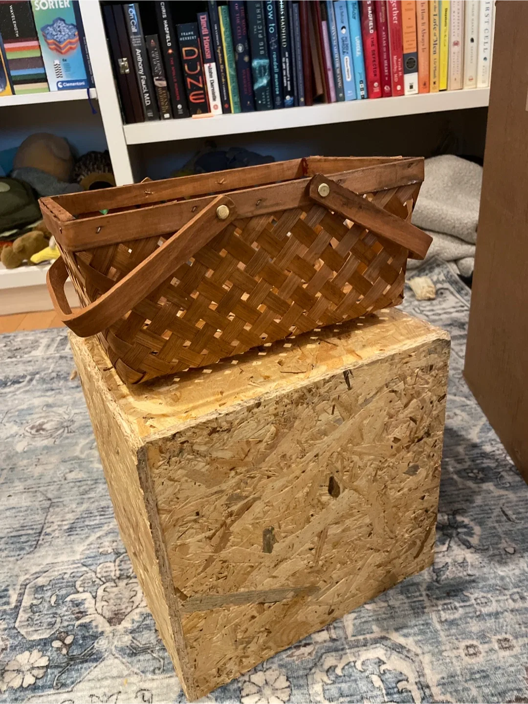 Woven Picnic Basket
