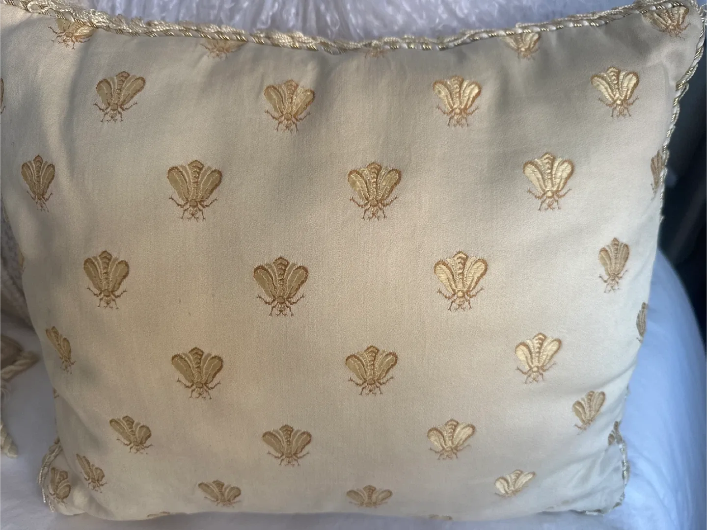 Decorative Throw Pillow with Embroidery