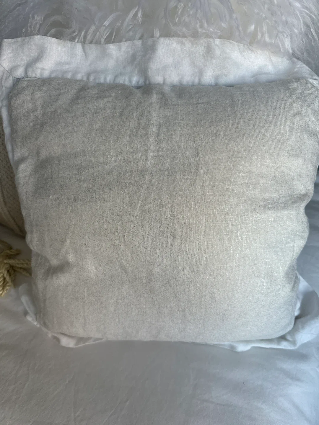 Decorative Throw Pillow with Embroidery image indicator(5)