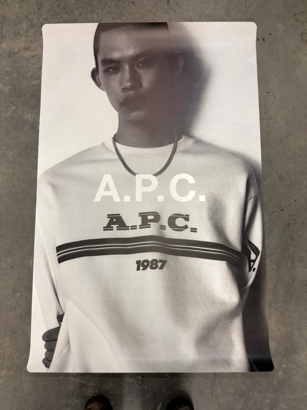 APC POSTER - 5