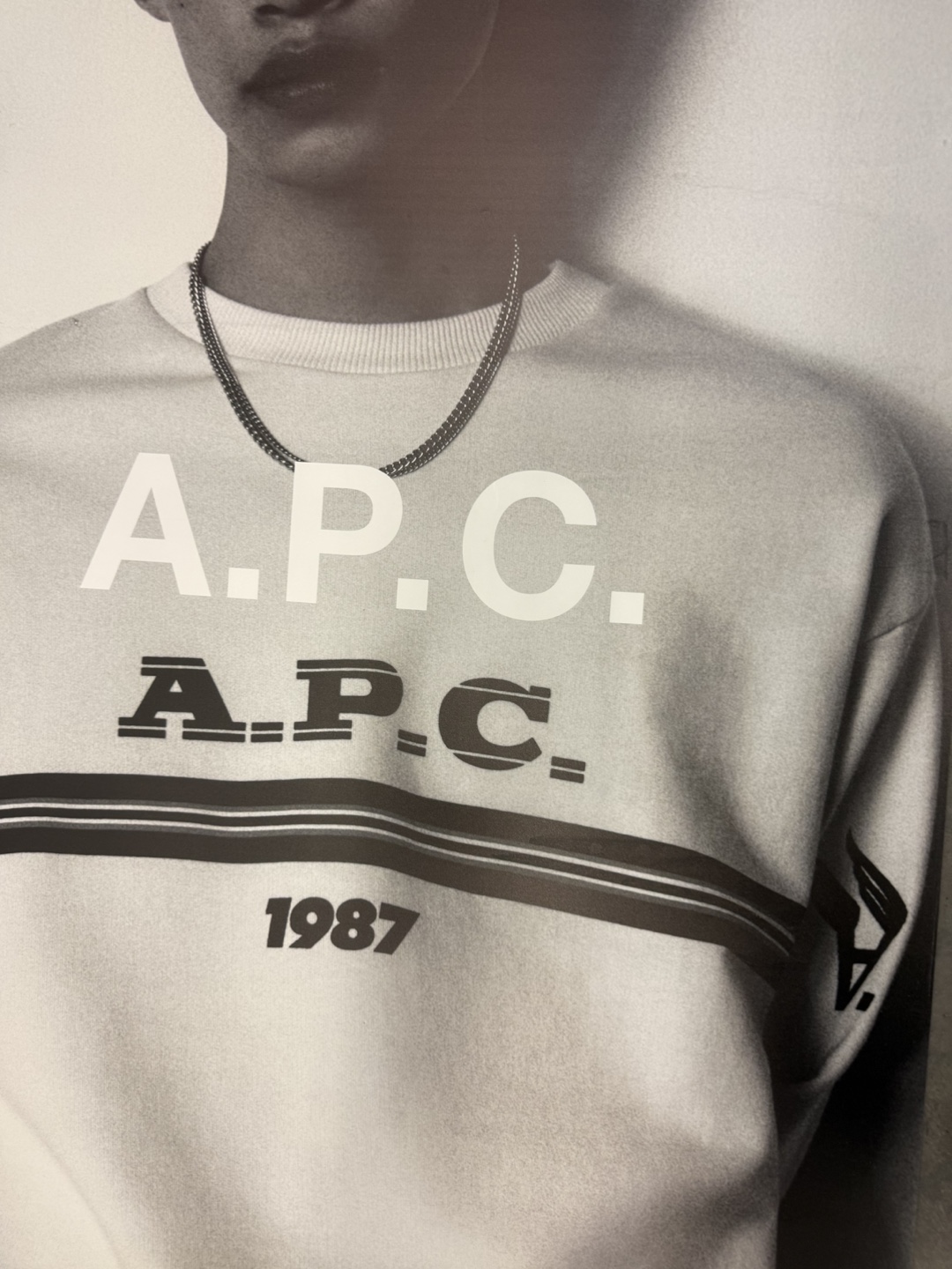 APC POSTER - 5 - photo 3