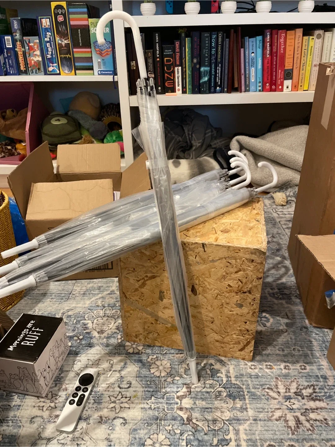 5 Clear Bubble Umbrella - $5 for all image indicator(2)