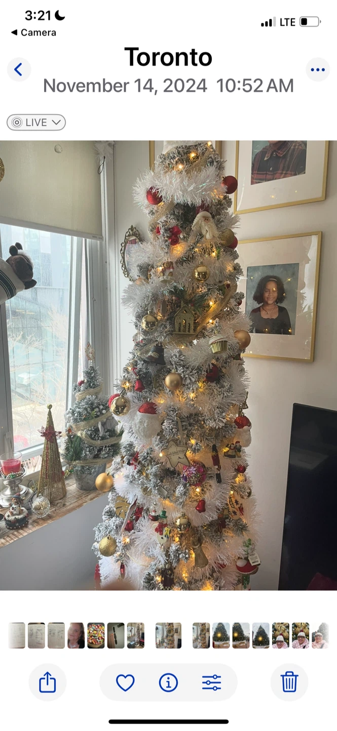 Christmas Tree with Ornaments