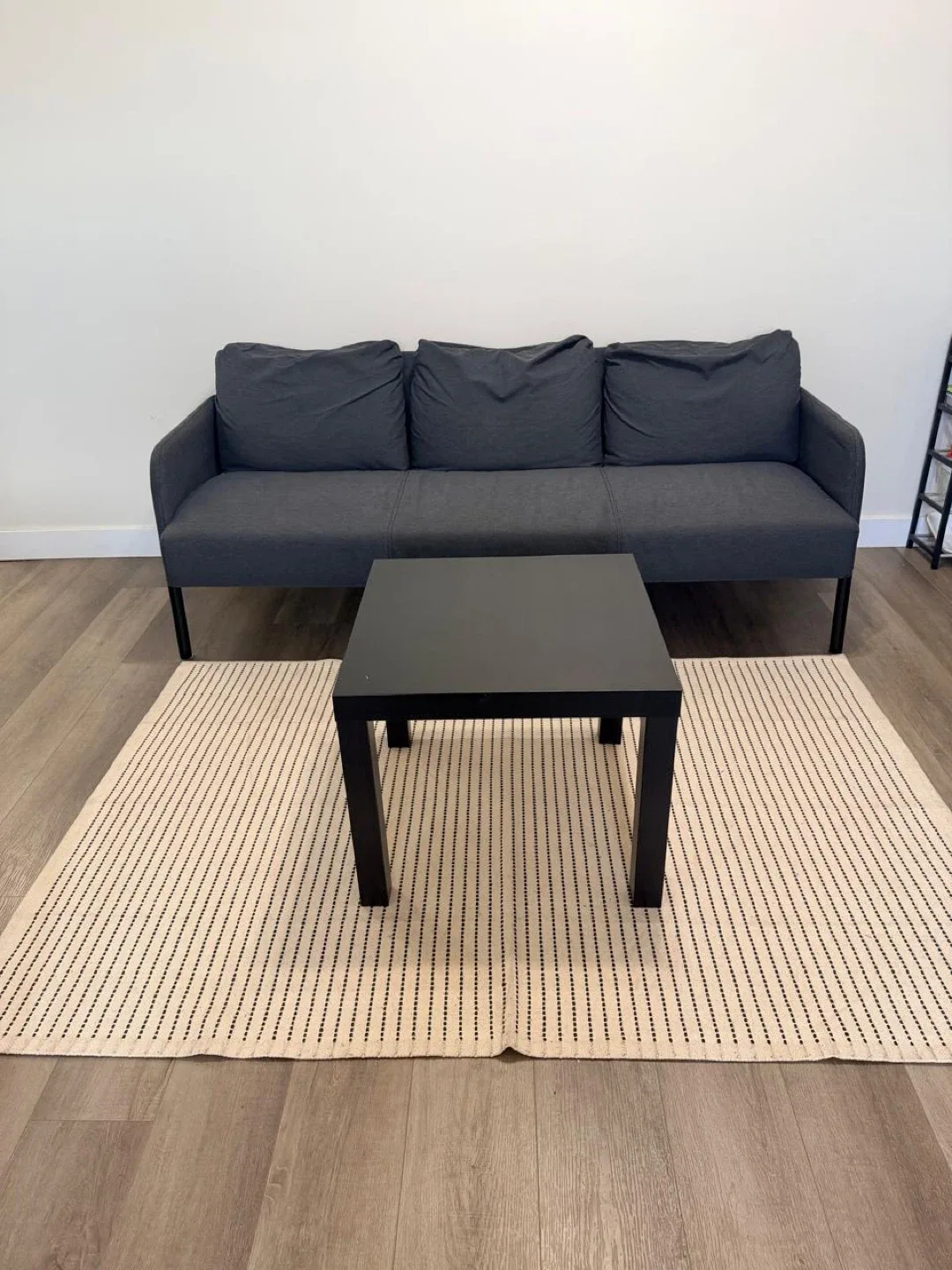 IKEA Couch, Table and Rug