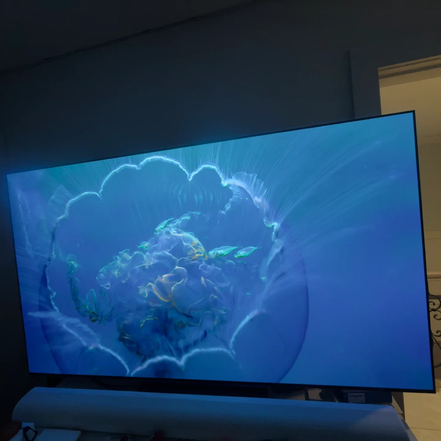 LG OLED evo 4K TV image indicator(4)