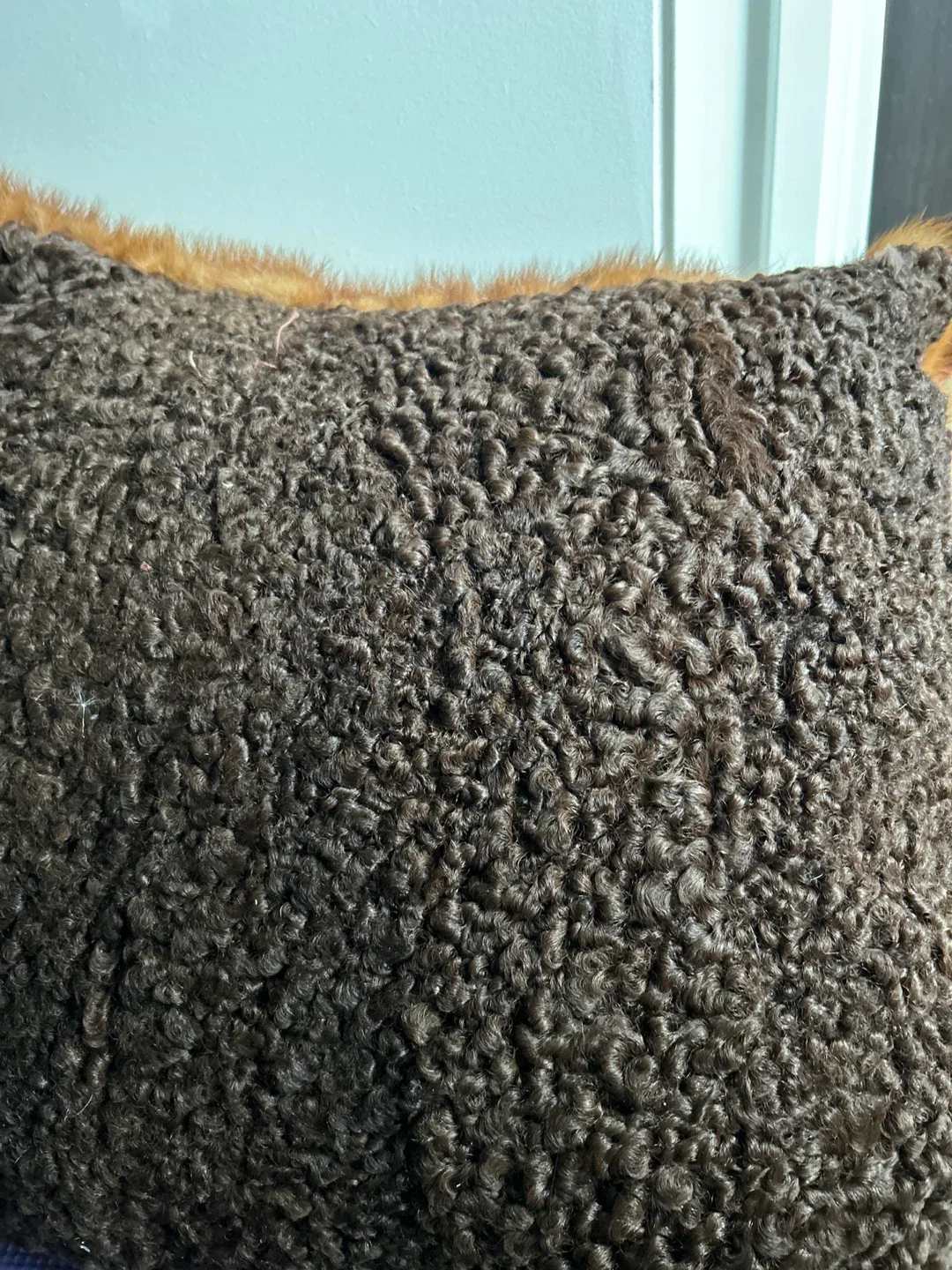 Brown Decorative Pillow image indicator(2)