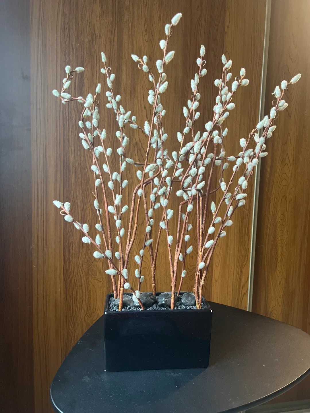 Willow Branch Arrangement in Black Planter