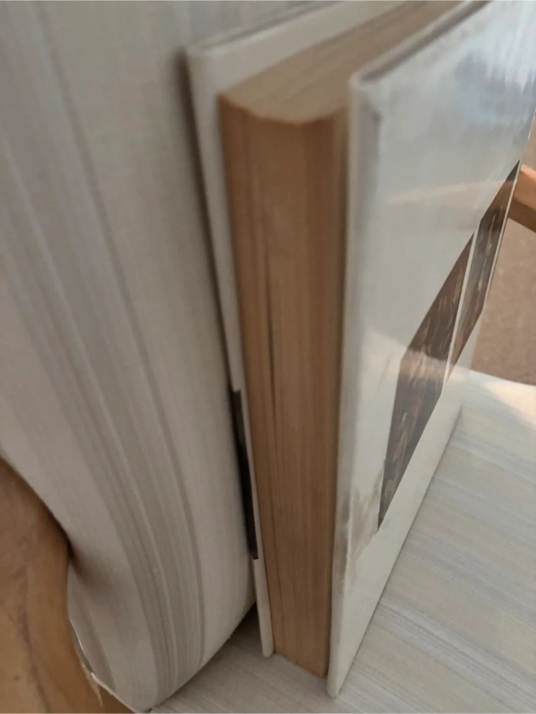 Art Treasures of The Louvre Book image indicator(5)