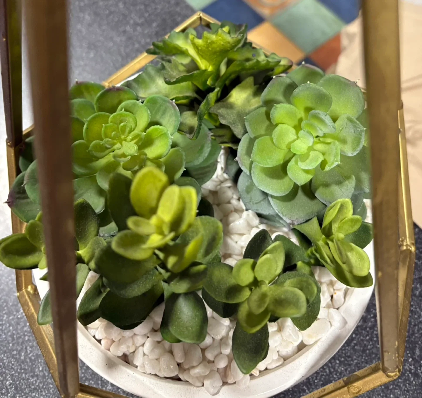 Faux Succulent in Gold Geometric Terrarium image indicator(2)
