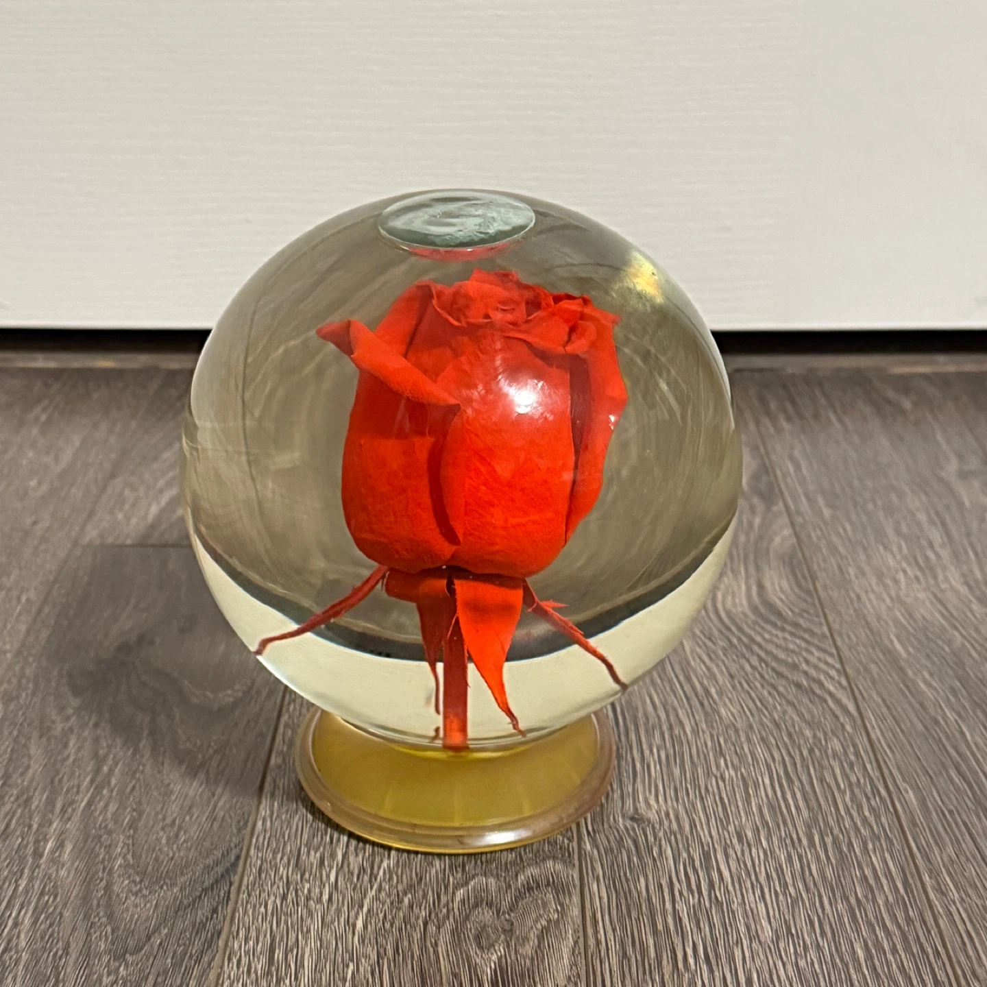 Rose in Glass Globe