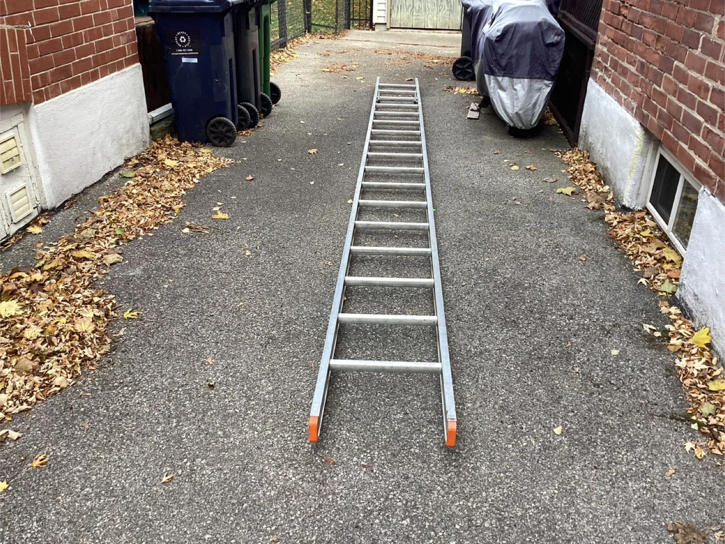 18 Ft. Aluminum Ladder !