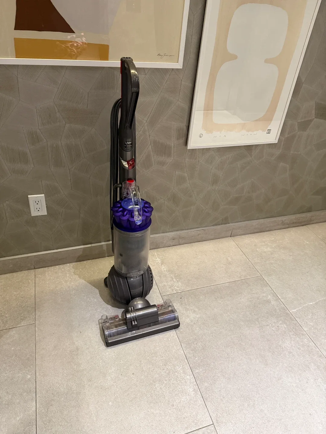 Dyson DC66 Upright Vacuum‼️Working Well‼️ image indicator(9)